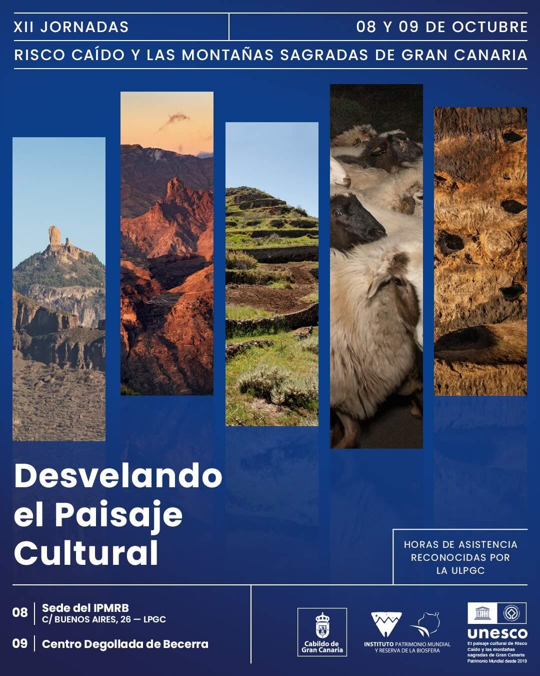 Programa oficial XII Jornadas de Risco Caído